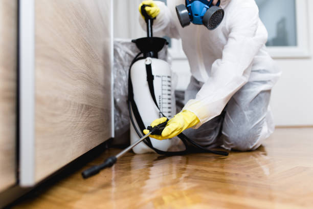 Best Mosquito Control Services  in Jamestown, OH