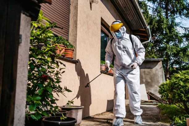 Best Termite Control Services  in Jamestown, OH
