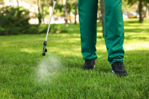 Best Affordable Pest Control Services  in Jamestown, OH