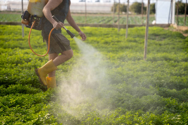 Professional Pest Control in Jamestown, OH