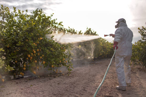 Best Wildlife Control Services  in Jamestown, OH