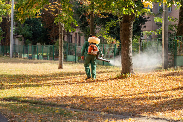 Best Wasp Removal Services  in Jamestown, OH