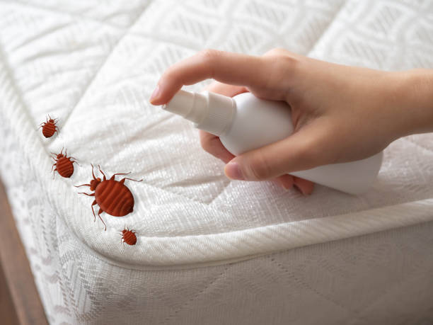 Best Affordable Pest Control Services  in Jamestown, OH