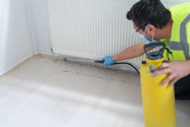 Best Best Pest Control Companies  in Jamestown, OH